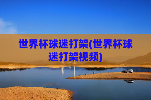 世界杯球迷打架(世界杯球迷打架视频)