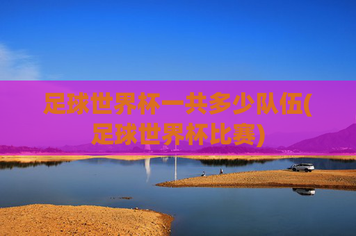 足球世界杯一共多少队伍(足球世界杯比赛)