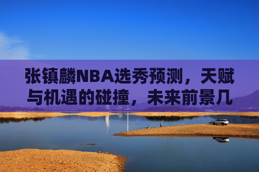 张镇麟NBA选秀预测，天赋与机遇的碰撞，未来前景几何？张镇麟NBA选秀，天赋机遇碰撞，未来前景几何？