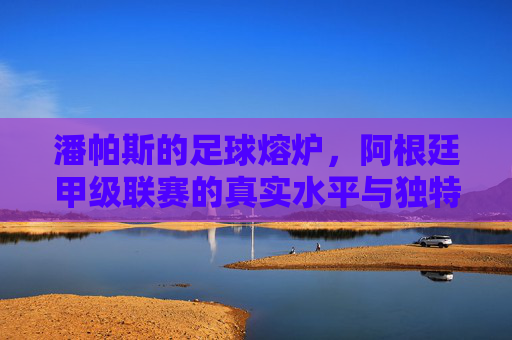 潘帕斯的足球熔炉,阿根廷甲级联赛的真实水平与独特魅力,潘帕斯足球熔炉,阿根廷甲级联赛的真实水平与独特魅力