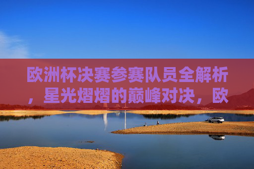 欧洲杯决赛参赛队员全解析，星光熠熠的巅峰对决，欧洲杯决赛队员全解析，星光熠熠巅峰对决