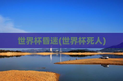 世界杯昏迷(世界杯死人)