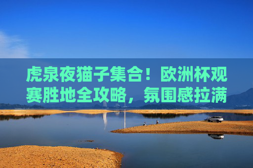 虎泉夜猫子集合!欧洲杯观赛胜地全攻略,氛围感拉满!虎泉夜猫子欧洲杯观赛胜地全攻略,氛围感拉满
