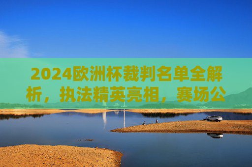 2024欧洲杯裁判名单全解析，执法精英亮相，赛场公正守护者，2024欧洲杯裁判名单全解析，执法精英守护赛场公正