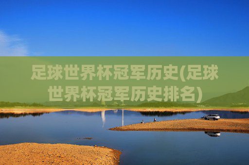 足球世界杯冠军历史(足球世界杯冠军历史排名)