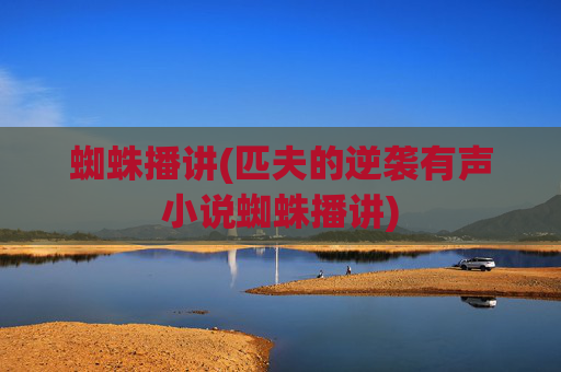 蜘蛛播讲(匹夫的逆袭有声小说蜘蛛播讲)