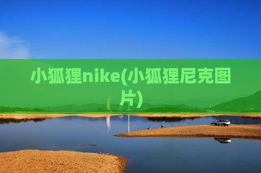 小狐狸nike(小狐狸尼克图片)