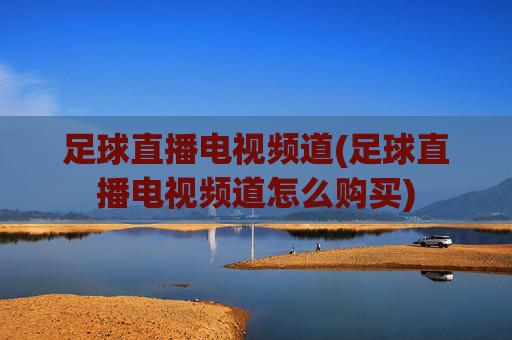 足球直播电视频道(足球直播电视频道怎么购买)
