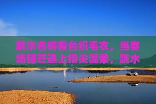 跳水名将看台织毛衣,当赛场锋芒遇上指尖温柔,跳水名将看台织毛衣,赛场锋芒与指尖温柔