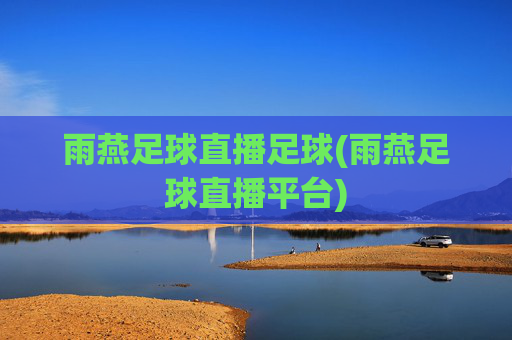 雨燕足球直播足球(雨燕足球直播平台)