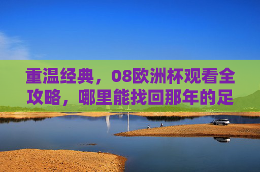 重温经典，08欧洲杯观看全攻略，哪里能找回那年的足球激情？08欧洲杯观看攻略，重温经典，找回那年足球激情