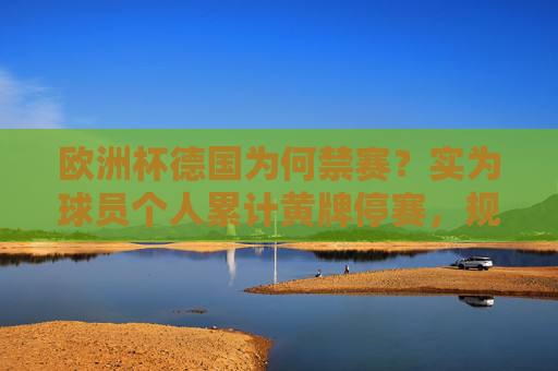 欧洲杯德国为何禁赛?实为球员个人累计黄牌停赛,规则下的必然结果,欧洲杯德国禁赛,球员累计黄牌停赛,规则下的必然结果