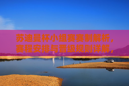 苏迪曼杯小组赛赛制解析，赛程安排与晋级规则详解，苏迪曼杯小组赛赛制、赛程安排与晋级规则详解