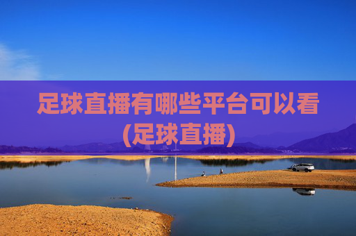 足球直播有哪些平台可以看(足球直播)