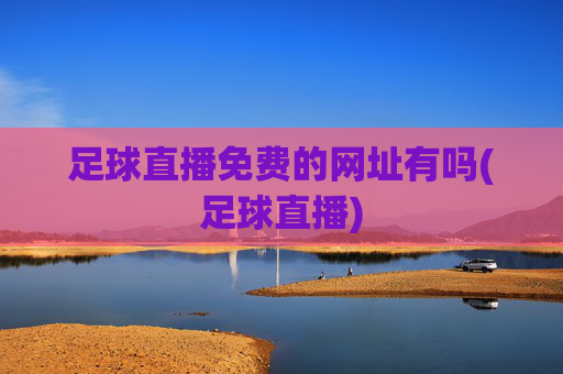 足球直播免费的网址有吗(足球直播)