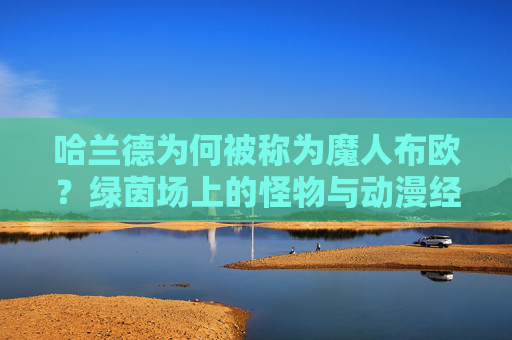 哈兰德为何被称为魔人布欧？绿茵场上的怪物与动漫经典的奇妙共鸣，绿茵场魔人布欧，哈兰德与动漫经典的球场共鸣