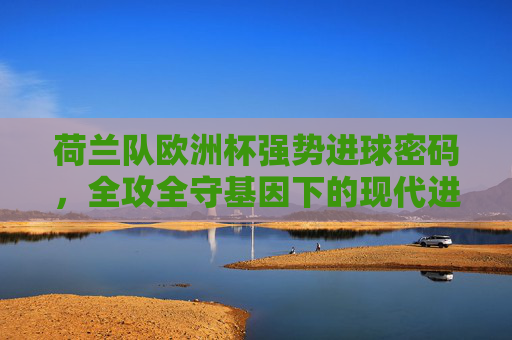 荷兰队欧洲杯强势进球密码,全攻全守基因下的现代进攻风暴,荷兰欧洲杯密码,全攻全守基因引爆现代进攻风暴