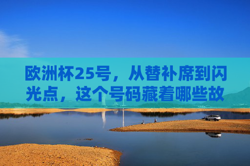 欧洲杯25号,从替补席到闪光点,这个号码藏着哪些故事?欧洲杯25号,替补席到闪光点的故事