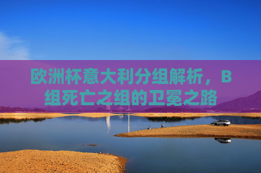 欧洲杯意大利分组解析,B组死亡之组的卫冕之路