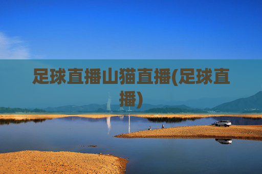 足球直播山猫直播(足球直播)