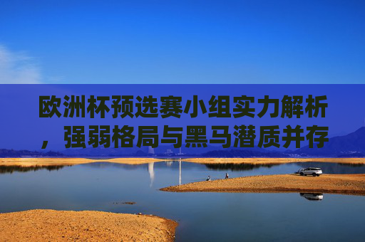 欧洲杯预选赛小组实力解析,强弱格局与黑马潜质并存