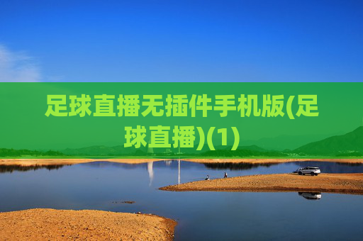 足球直播无插件手机版(足球直播)(1)