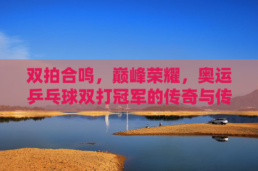双拍合鸣,巅峰荣耀,奥运乒乓球双打冠军的传奇与传承