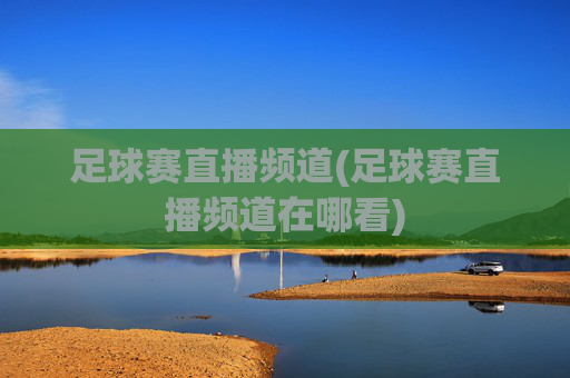 足球赛直播频道(足球赛直播频道在哪看)