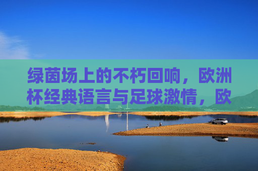 绿茵场上的不朽回响,欧洲杯经典语言与足球激情,欧洲杯经典回响,绿茵场上的不朽足球激情