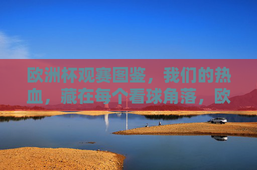 欧洲杯观赛图鉴，我们的热血，藏在每个看球角落，欧洲杯观赛图鉴，每个角落，都有我们的热血
