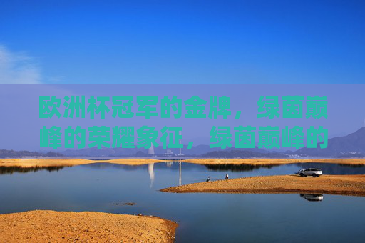 欧洲杯冠军的金牌，绿茵巅峰的荣耀象征，绿茵巅峰的荣耀，欧洲杯冠军金牌