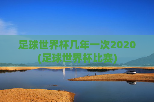 足球世界杯几年一次2020(足球世界杯比赛)