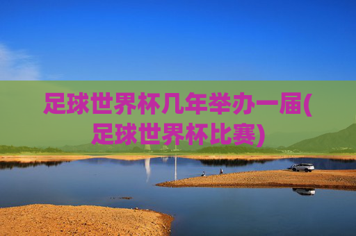 足球世界杯几年举办一届(足球世界杯比赛)