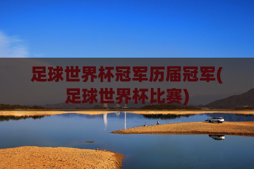 足球世界杯冠军历届冠军(足球世界杯比赛)