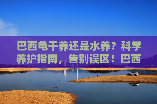 巴西龟干养还是水养?科学养护指南,告别误区!巴西龟干养还是水养,科学养护指南,告别误区
