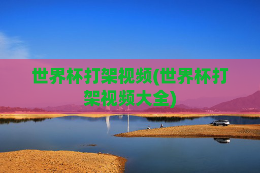 世界杯打架视频(世界杯打架视频大全)