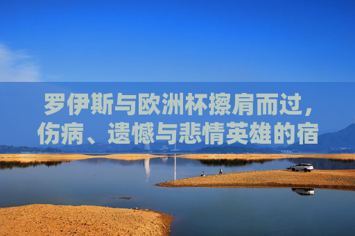 罗伊斯与欧洲杯擦肩而过,伤病、遗憾与悲情英雄的宿命,悲情罗伊斯,欧洲杯擦肩而过,宿命难逃