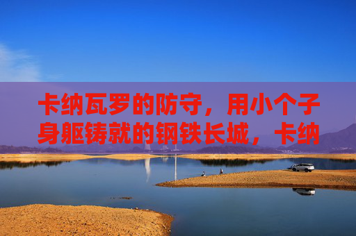 卡纳瓦罗的防守，用小个子身躯铸就的钢铁长城，卡纳瓦罗，小个子身躯铸就钢铁长城
