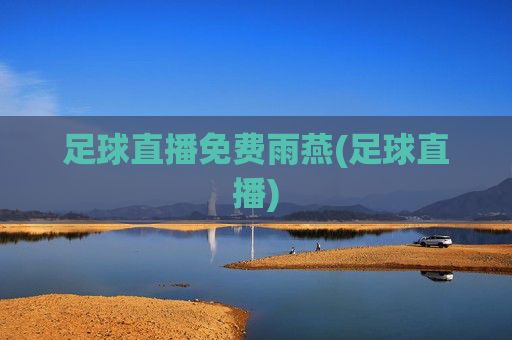 足球直播免费雨燕(足球直播)