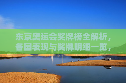 东京奥运会奖牌榜全解析,各国表现与奖牌明细一览,东京奥运会奖牌榜全解析,各国表现与奖牌明细