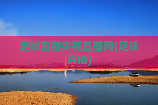 足球直播央视直播网(足球直播)