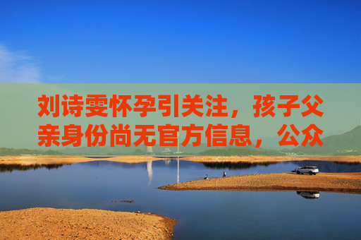 刘诗雯怀孕引关注，孩子父亲身份尚无官方信息，公众人物隐私需尊重，刘诗雯怀孕引关注，孩子父亲身份未官方，公众隐私需尊重