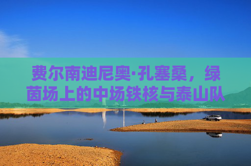费尔南迪尼奥·孔塞桑,绿茵场上的中场铁核与泰山队的定海神针,费尔南迪尼奥,泰山中场铁核与定海神针
