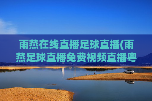 雨燕在线直播足球直播(雨燕足球直播免费视频直播粤语)