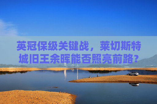 英冠保级关键战,莱切斯特城旧王余晖能否照亮前路?诺维奇黄军青春风暴欲掀波澜,英冠保级关键战,莱切斯特旧王余晖战诺维奇青春风暴