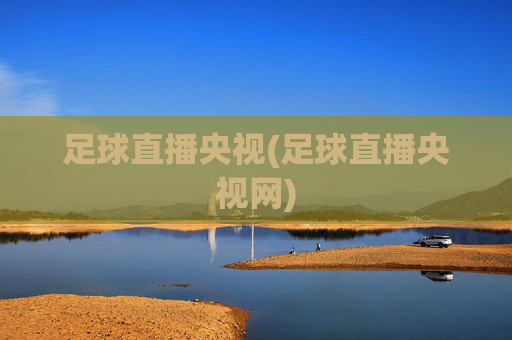 足球直播央视(足球直播央视网)