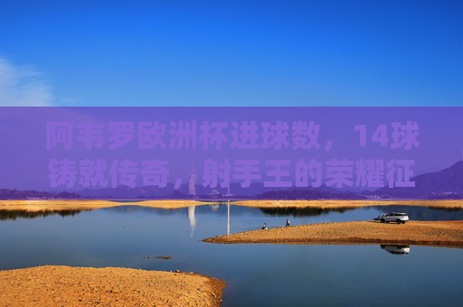 阿韦罗欧洲杯进球数,14球铸就传奇,射手王的荣耀征程,阿韦罗欧洲杯14球铸就射手王传奇