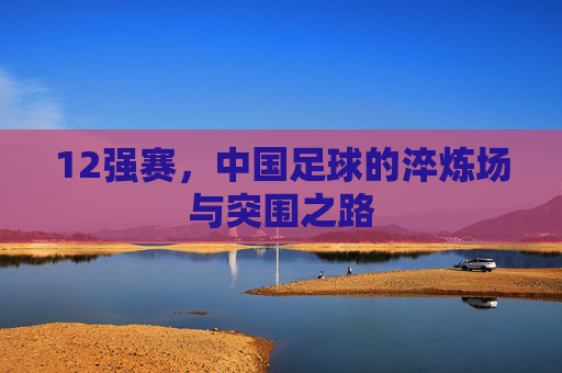 12强赛,中国足球的淬炼场与突围之路