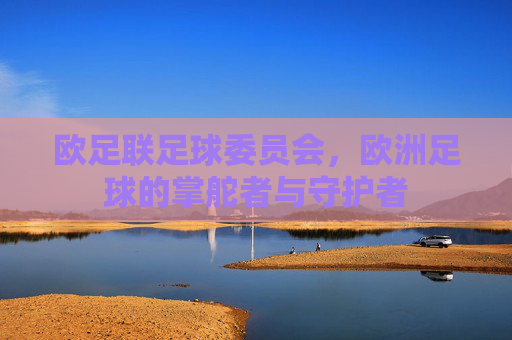 欧足联足球委员会,欧洲足球的掌舵者与守护者