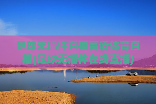 足球无插件直播高清体育直播(足球无插件在线直播)